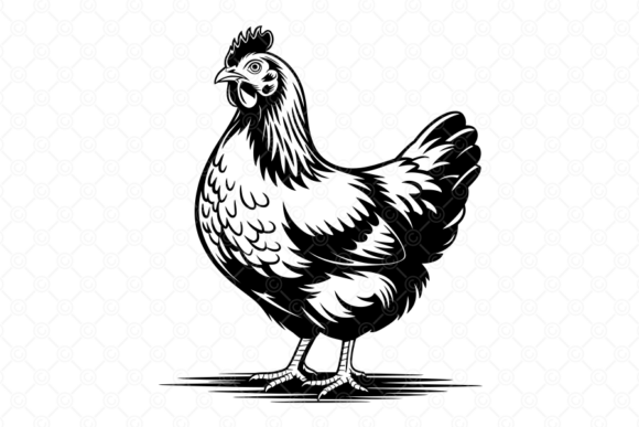 Download Chicken SVG, Hen SVG, Farm Clipart, 017 - Farm Collection