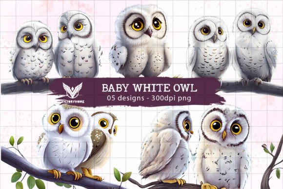 Download Baby White Owl Watercolor Sublimation - Owl Collection