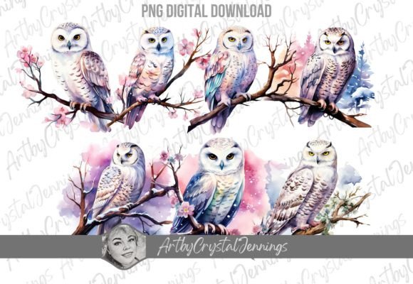 Download Winter Snow Owl Watercolor Bird PNG - Owl Collection