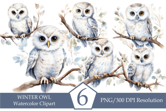 Download Watercolor Winter Owl, Cute White Owl - Owl Collection