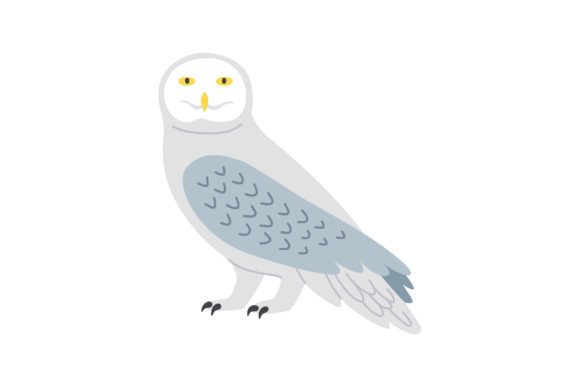 Download White Owl Cartoon Illustration. Predator - Owl Collection