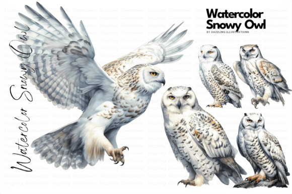 Download Watercolor Snowy Owl Set - Owl Collection