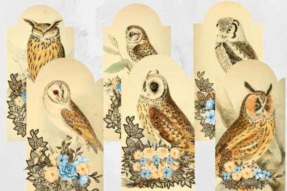 Download Vintage Owl Tags, Owls Junk Journal Tags - Owl Collection