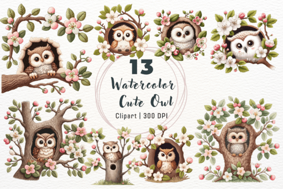 Download Watercolor Cute Owl Clipart - Owl Collection