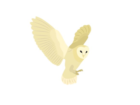 Download White Owl Bird Animal - Owl Collection