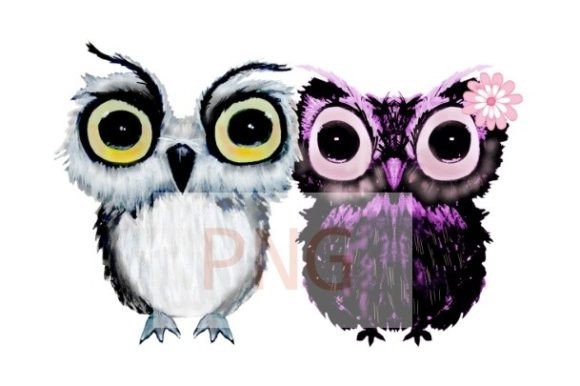 Download Black and White Owl Watercolor Png - Owl Collection