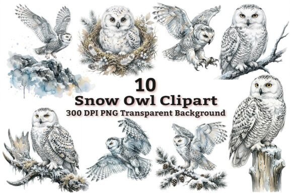Download Majestic Snowy Owl Clipart Bundle PNG - Owl Collection