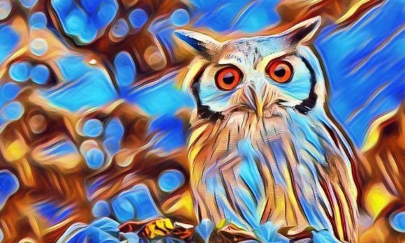Download Owl Premium Digital Paper VOL-1 - Owl Collection