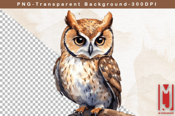Download Watercolor Owl Clipart - Owl Collection