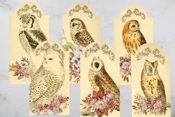 Download Vintage Owl Tags, Owls Junk Journal Tags - Owl Collection